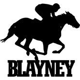 Custom Horse Racing Metal Sign Personalized Metal Horse Decor Horse Racing Wall Hanging Decorations